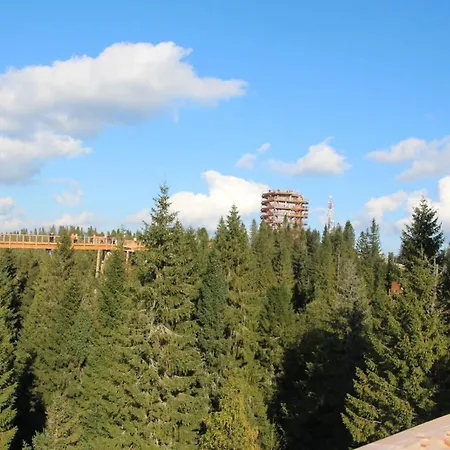 Romanticke House Daniela & Julia Apartman Sebesér